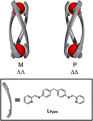 Corrigendum: Cavity-Containing [Fe2L3]4+ Helicates: An Examination of Host-Guest Chemistry and Cytotoxicity